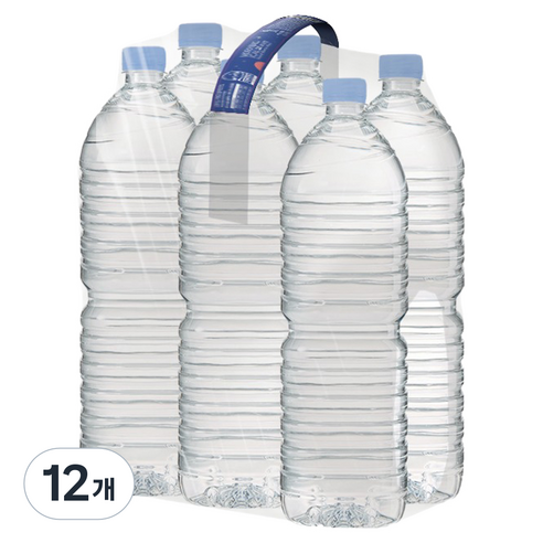 모닝캄 생수 무라벨, 12개, 2L