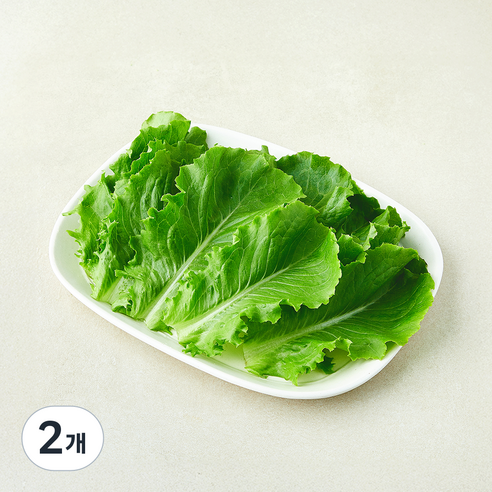 유기농 로메인 상추, 2개, 100g