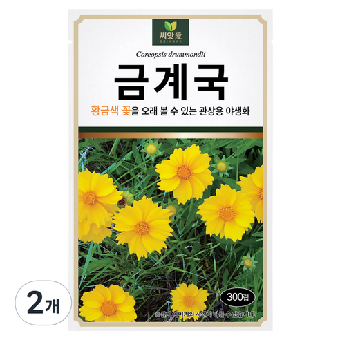 다농 씨앗애 금계국 씨앗 300p, 2개