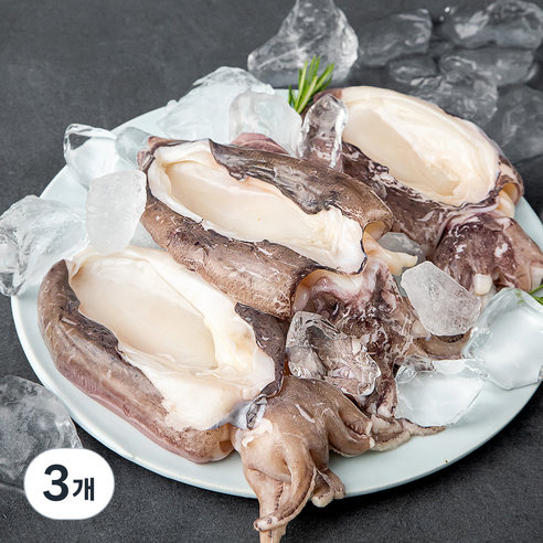 살맛나요 탱글탱글 손질 갑오징어, 500g, 3개