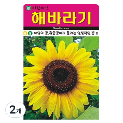아람종묘 해바라기 꽃 씨앗 50p, 2개