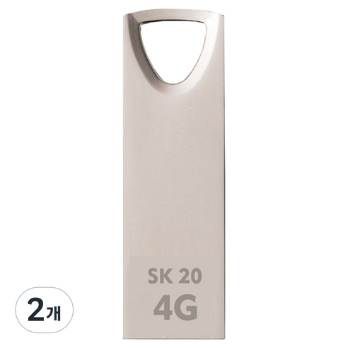 액센 with SK m&service USB 2.0 메모리 SK20, 4GB, 2개