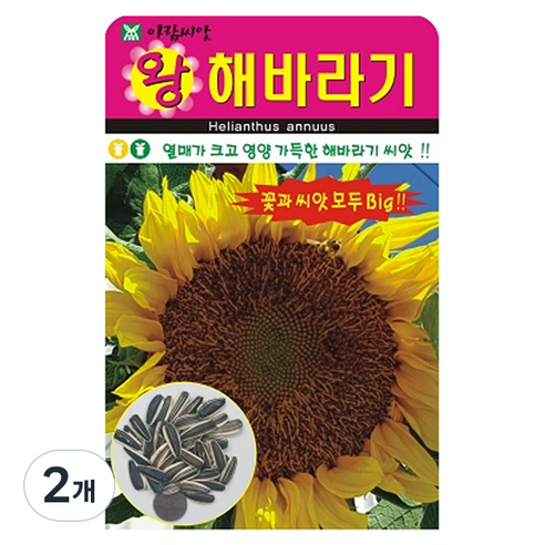 아람종묘 왕해바라기 꽃 씨앗 10립, 2개