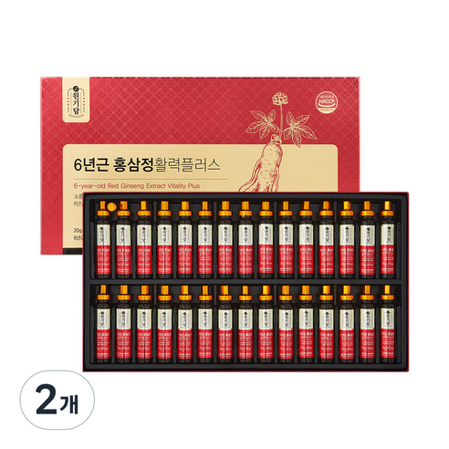 원기담 6년근 홍삼정 활력 플러스 30p, 600g, 2개 600g, 2개
