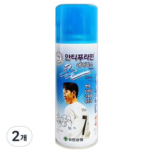 안티푸라민 에어파스 쿨 220ml, 2개, 1개입