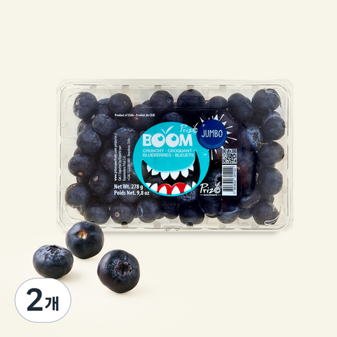 칠레산 세코야 블루베리, 278g, 2개
