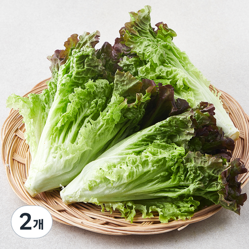 친환경 포기상추, 250g, 2개 - 상추 | 쿠팡