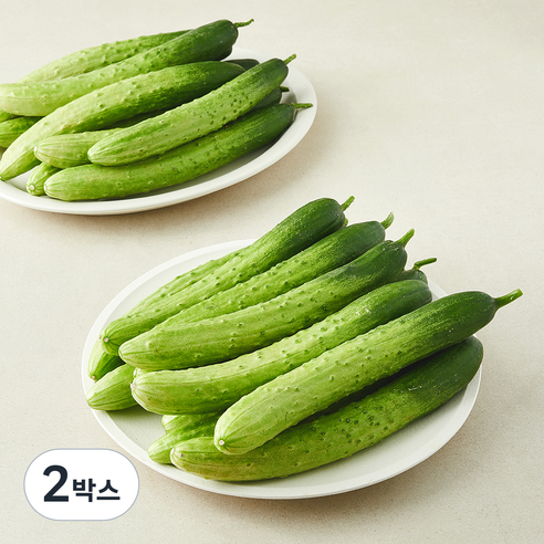 백오이 5kg(23~31입), 5kg, 1개입, 2박스