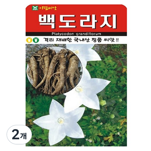 아람종묘 백도라지 씨앗, 2개