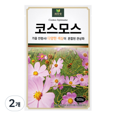 다농 씨앗애 코스모스 씨앗 500p, 2개