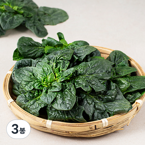 비금 섬초, 200g, 3봉