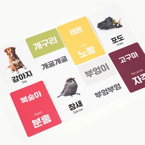 생생한 한글 영어 짝꿍 낱말카드 이미지 4