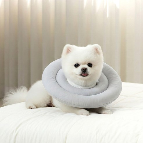 레토 반려동물 방수 초경량 넥카라 솔직 후기 | 실제 사용자 리뷰 총정리 - 상품 이미지 1