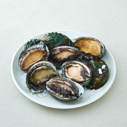 어부심 국내산 활전복 특대 (냉장), 1개, 1kg 내외(9~10미)