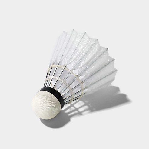 빅터 배드민턴 셔틀콕 카본 NCS PRO NS 이미지 3