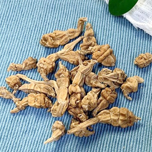 동광한방몰 건조 초석잠 골뱅이형 600g, 1개 이미지 4