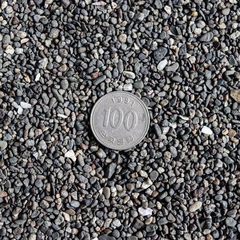 모비딕 관상어 네츄럴 흑사 3kg 솔직 후기 | 실제 사용자 리뷰 총정리 - 상품 이미지 3