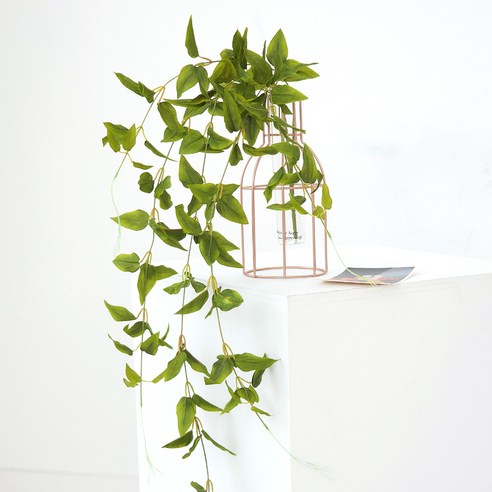 花盆 TP00028600000255_01_006_R.jpg