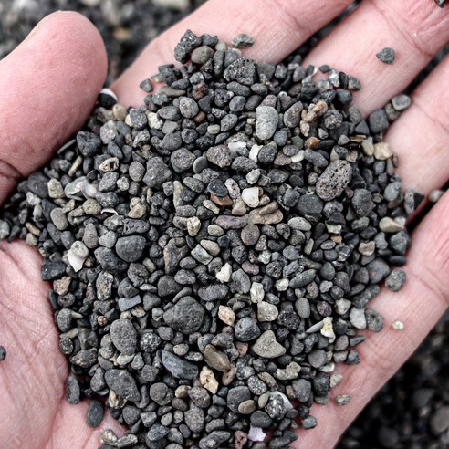 모비딕 관상어 네츄럴 흑사 3kg 솔직 후기 | 실제 사용자 리뷰 총정리 - 상품 이미지 4