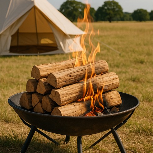 랜드크래프트 유칼립투스 캠핑 장작, 10kg, 1개