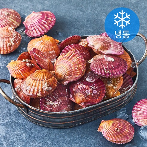 아라보감 홍가리비 (냉동), 1개, 2kg 1개, 2kg
