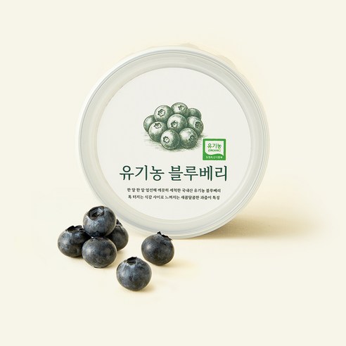 유기농 인증 바로먹는 블루베리, 1개, 200g
