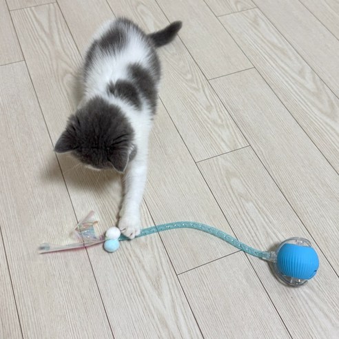 MAAH 고양이 자동 움직이는 장난감 쥐잡기 스마트 파스텔 볼 이미지 2