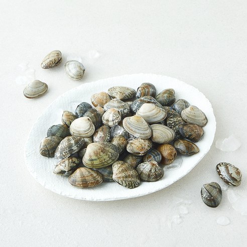 바다림 서해안 생물 참바지락 (냉장), 1개, 400g