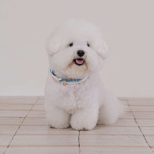 리카리카 반려동물 브리즈 워크 목줄, 오션블루, 1개