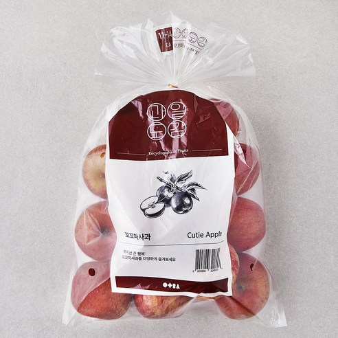 과일도감 꼬꼬마 사과 1.5kg(11~14입) × 1개