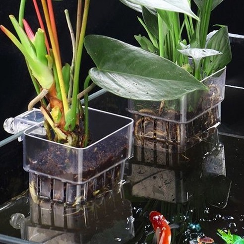 어항 걸이식 수경재배 바스켓 솔직 후기 | 실제 사용자 리뷰 총정리 - 상품 이미지 1