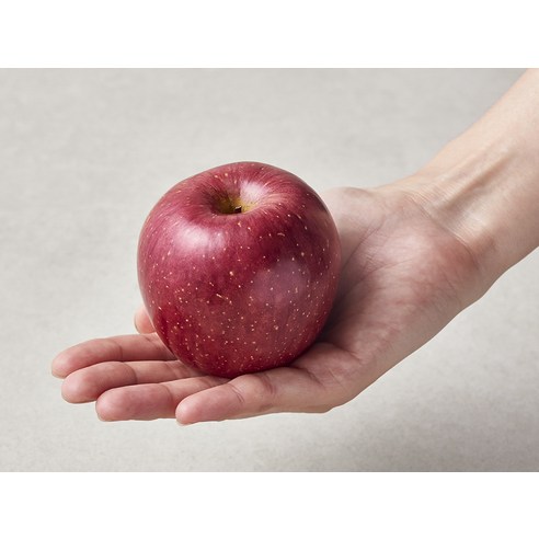 영주마실 못난이 사과 소과 26~30개입, 4.5kg, 1박스 후기 분석 - 한 손에 들어오는 아담한 사이즈 확인