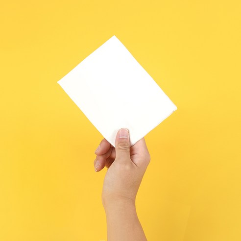 강아지 노부담 절약형 무형광 배변패드 무향 솔직 후기 | 실사용자 리뷰 분석 - 상품 이미지 4