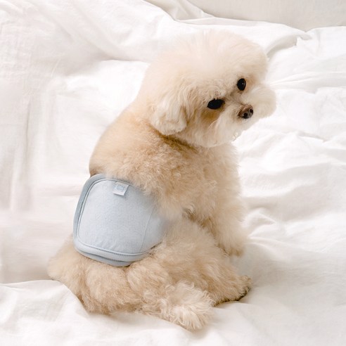 바잇미 소프트 허그 매너벨트 블루 S, 소형, 1개, 1개입