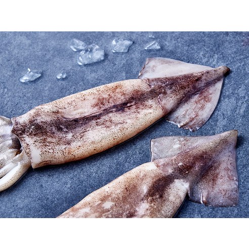 비비수산 살아있을때 깔끔하게 손질한 통오징어 (냉동), 270g(2미), 1개 후기 분석 - 깨끗하게 손질된 오징어 상세샷
