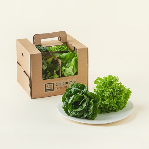 팜에이트 무농약 인증 Greenery+ 클래식 유러피안 샐러드믹스, 380g, 4개입, 1개