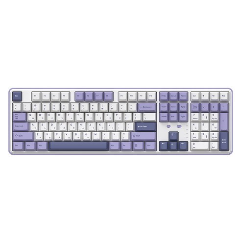 COX 기계식 유무선겸용 키보드, White Purple, C108, 허니축