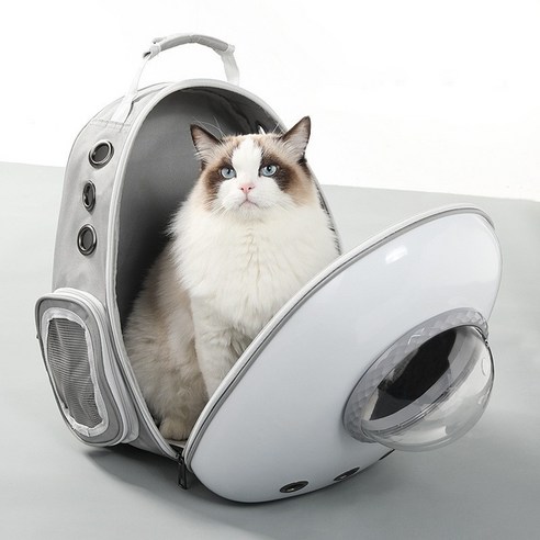 케리빙 고양이 이동 백팩, 1개, 블랙
