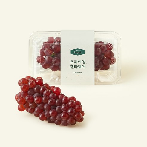 온브릭스 주식회사 농업회사법인 프리미엄 델라웨어 포도, 200g, 1개