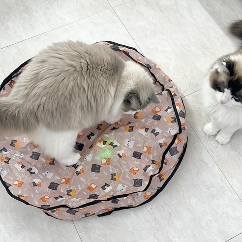 MAAH 고양이 혼자노는 자동 장난감 스마트 볼 + 파우치 세트 SCB-... 솔직 후기 | 실사용자 리뷰 분석 - 상품 이미지 2