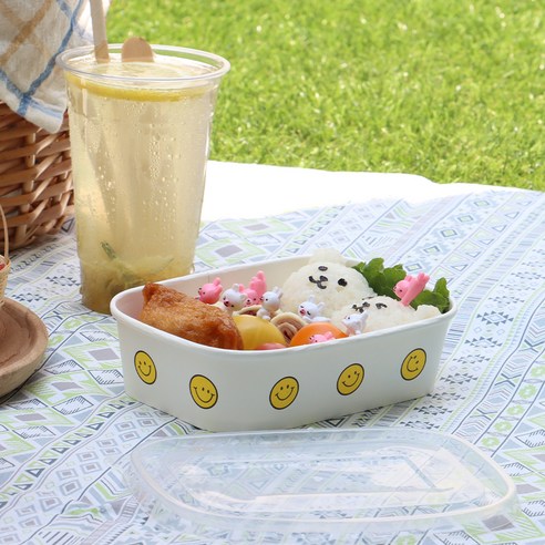 이와이엔스토리 스마일 테이크아웃 용기 580ml 실사용 후기 | 효과 있을까? - 상품 이미지 2