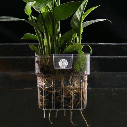 어항 걸이식 수경재배 바스켓 이미지 4