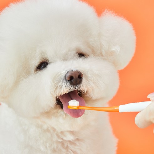 리스펫 반려동물 초미세모 덴탈 딥 브러쉬 이미지 4