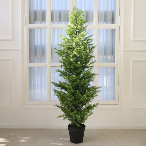 모리앤 에메랄드 조화나무 150cm, 그린, 150cm, 1개