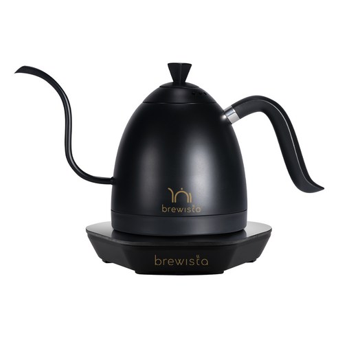 브뤼스타 아티산 전기드립포트 pro 600ml, 올블랙