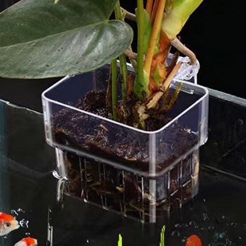 어항 걸이식 수경재배 바스켓 솔직 후기 | 실제 사용자 리뷰 총정리 - 상품 이미지 3