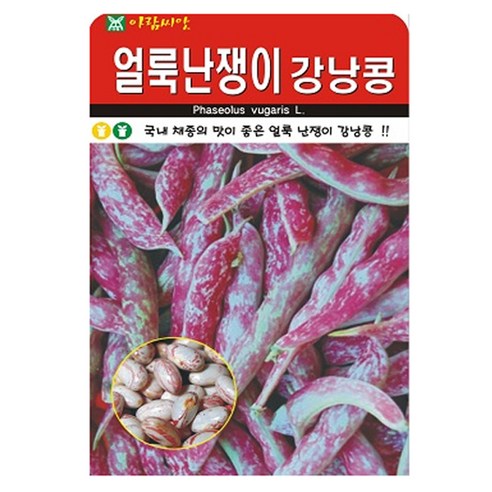 아람종묘 얼룩난쟁이 강낭콩 씨앗 30g, 1개
