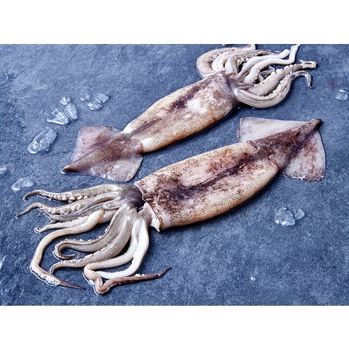 비비수산 살아있을때 깔끔하게 손질한 통오징어 (냉동), 270g(2미), 1개 후기 분석 - 조리 전 신선한 상태