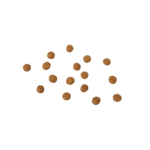 잘먹잘싸 전연령 강아지 건식사료 이미지 2