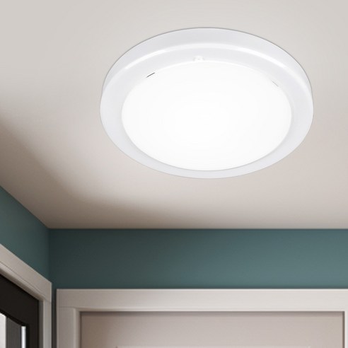 원하 EL 국산 유백 원형 방습형 직부등 LED 20W, 화이트 + 주광색